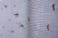 Pro Pest Control Canberra image 9